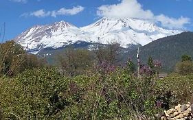 Angel Cottage With A Sauna Or The Cozy With A Jacuzzi Tub, Both Are Studios With A View Of Mount Shasta
